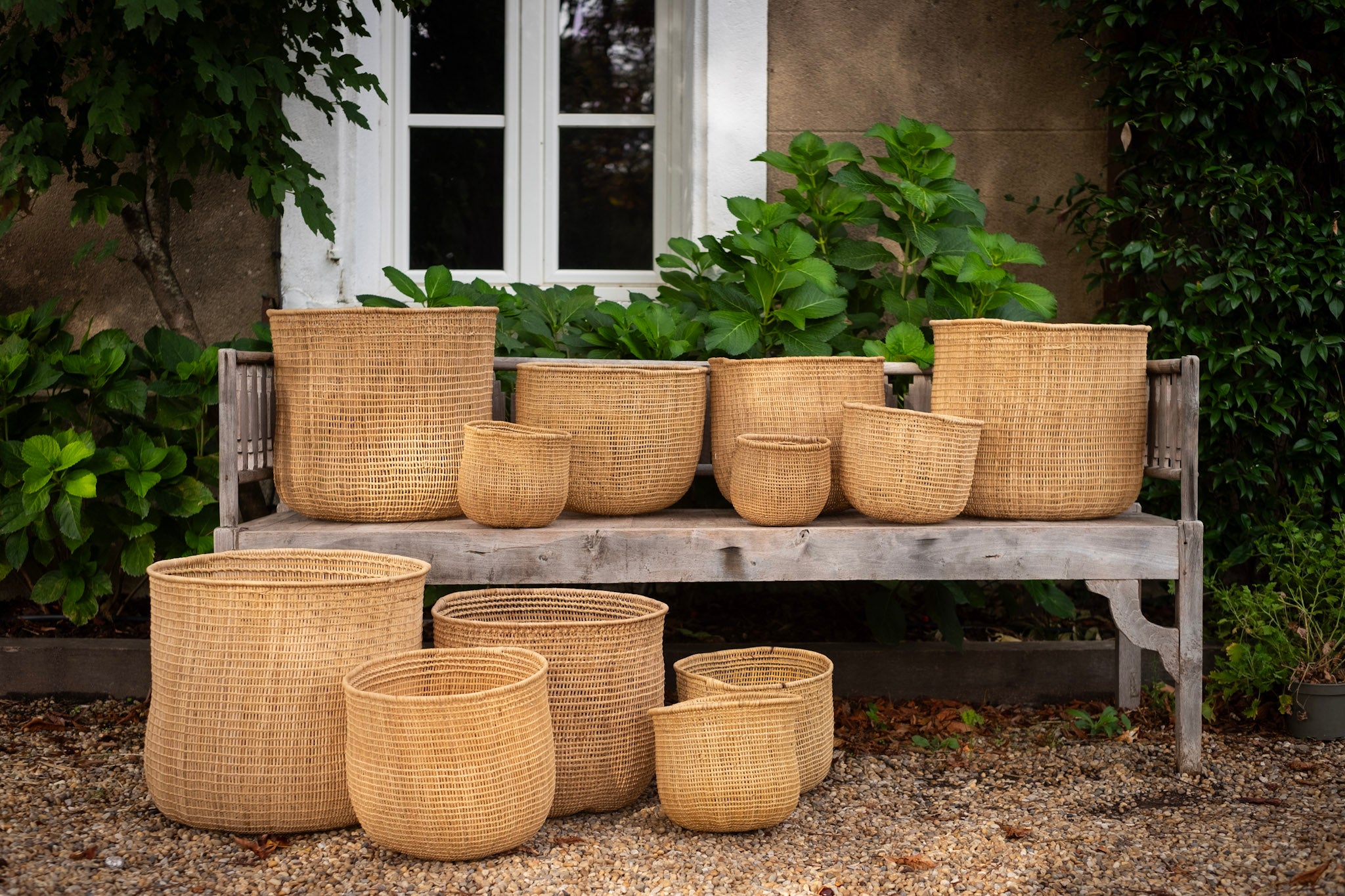 Plant Basket